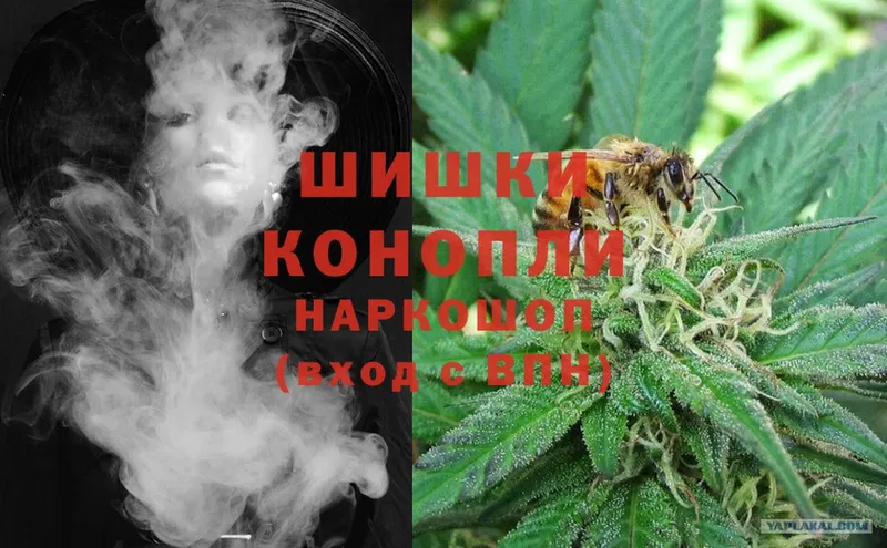 где купить наркоту  Красный Сулин  Бошки марихуана Amnesia 